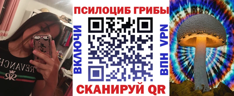 Псилоцибиновые грибы MAGIC MUSHROOMS  Купить закладки  Темников 
